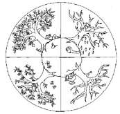 coloriage mandala les 4 saisons